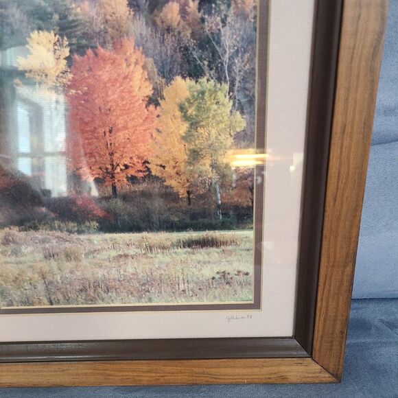 Vintage Autumn Fall Photography Wall Hanging Framed and Matted J Palmer 1988 - Picture 5 of 16